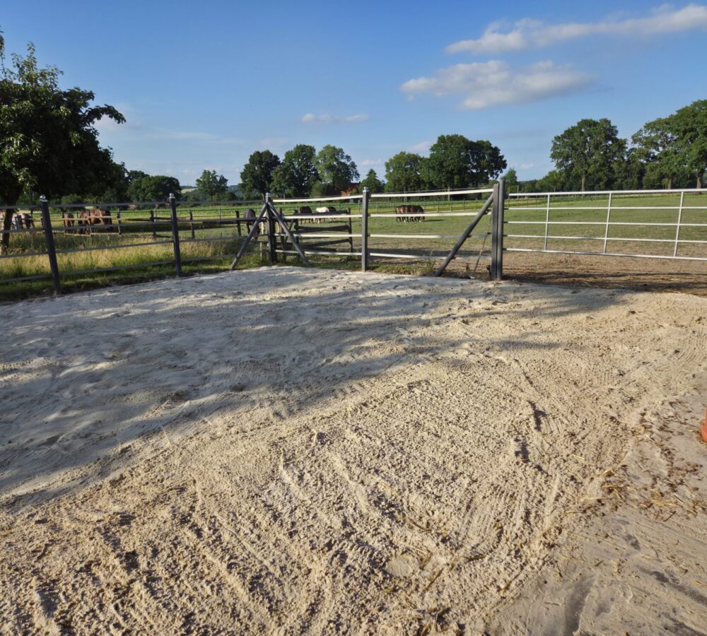 Weide Baumberger Hof