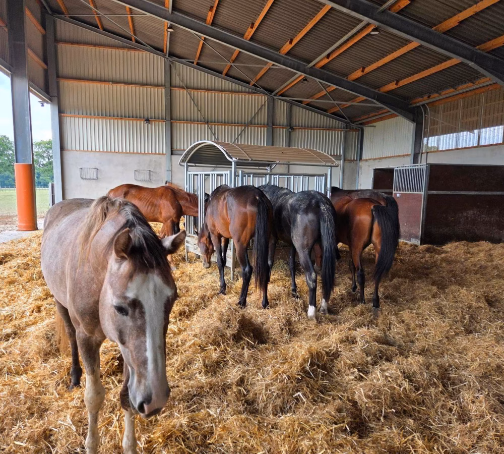 4adaf421-18d3-4fc4-8231-c51993389865